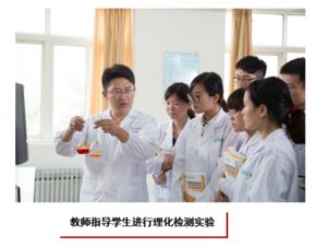 食品檢驗檢測技術(shù) 技術(shù)手段、應(yīng)用與發(fā)展趨勢