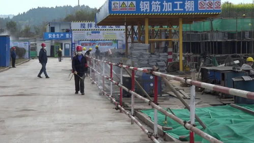 安岳項目建設“雙線”并進 市級重點項目全復工 建筑領域創新模式顯成效